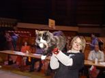 mvm07.jpg